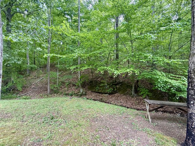 118 Haylee Rd, Waverly, TN 37185