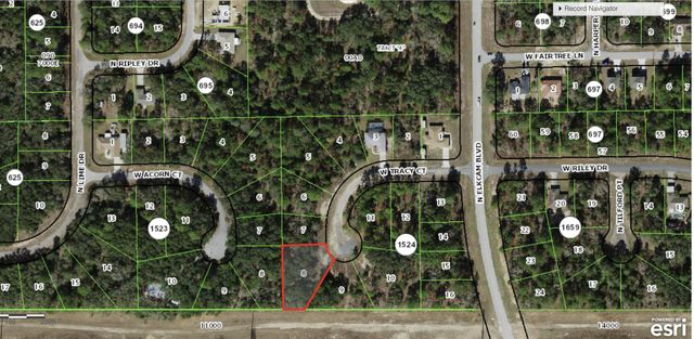 2770 W Tracy Court, Citrus Springs, FL 34433