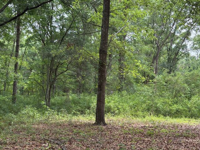 153 Joshua Lane, Dorchester, SC 29437