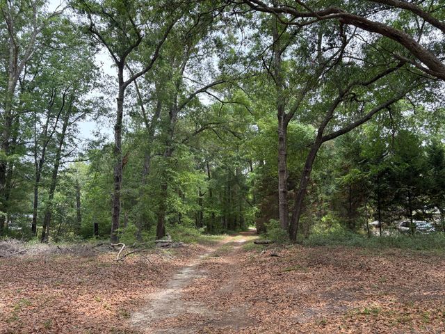 153 Joshua Lane, Dorchester, SC 29437
