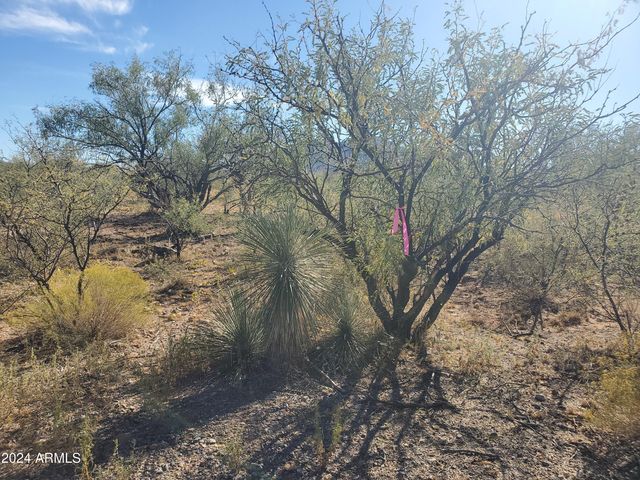 1978 CALLE COMINOS -- 6, Rio Rico, AZ 85648