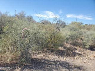 1978 CALLE COMINOS -- 6, Rio Rico, AZ 85648