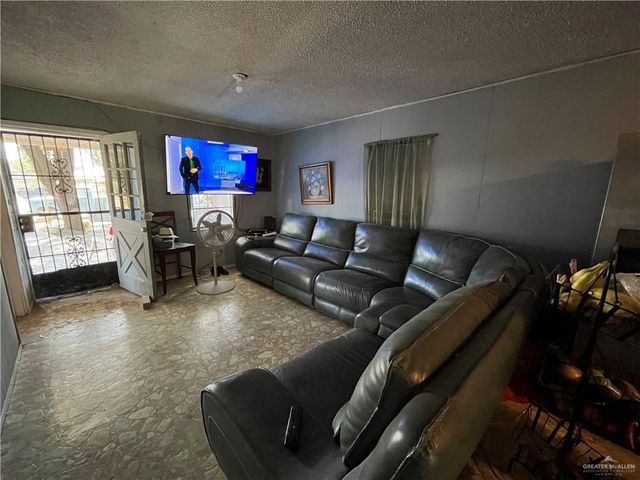 202 San Angelo Drive, Alamo, TX 78516