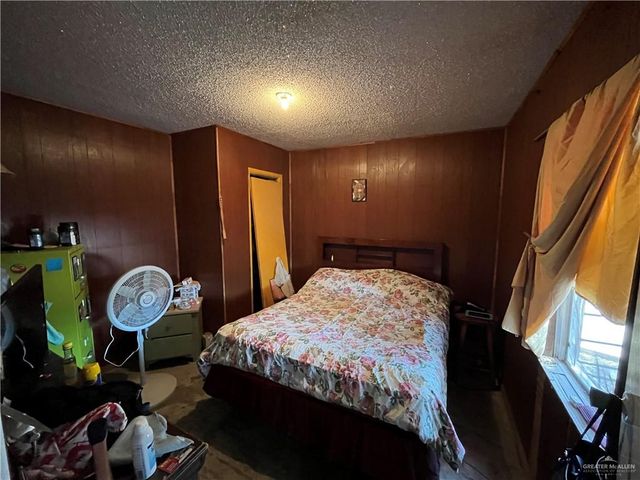 202 San Angelo Drive, Alamo, TX 78516