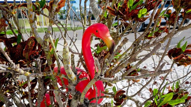 31 1ST STREET, Bradenton, FL 34210