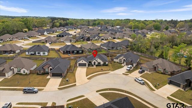 19167 Ambrosia Drive, Flint, TX 75762
