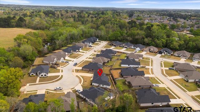 19167 Ambrosia Drive, Flint, TX 75762