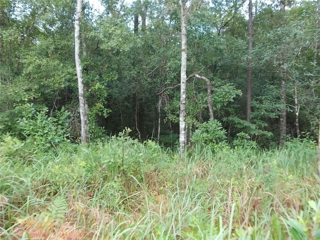 0 Boothtown Road, Citronelle, AL 36522 — exterior