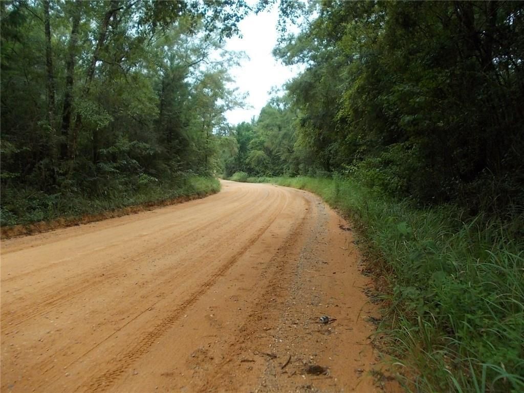 0 Boothtown Road, Citronelle, AL 36522 — photo 3