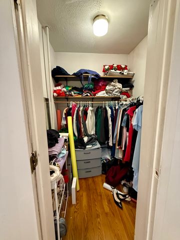 1132 W Addison Street 2, Chicago, IL 60613