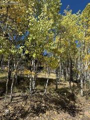 135 Powderhorn Lane, Lake George, CO 80827