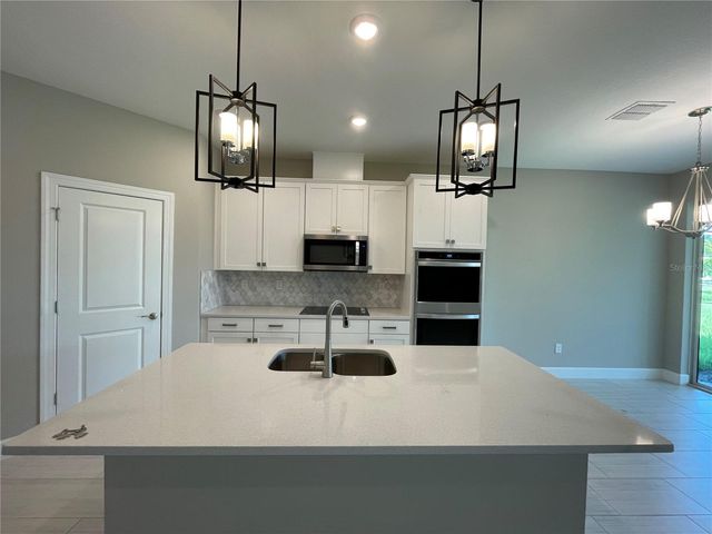 34286 EVERGREEN HILL COURT, Wesley Chapel, FL 33545