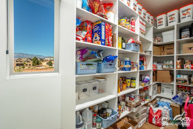 3169 S PECOS DR, Washington, UT 84780