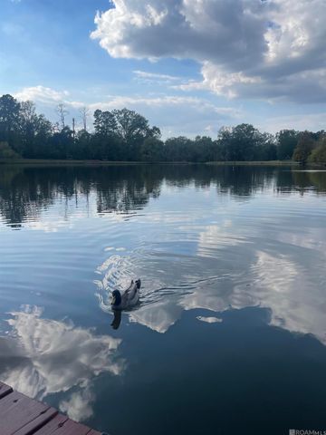 18167 Kenner Dr, Prairieville, LA 70769