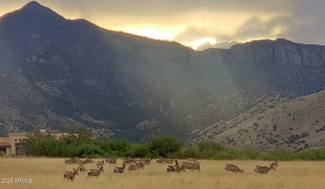 6100 E DARLEY Drive, Hereford, AZ 85615