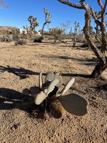 0 Saddleback Road, Joshua Tree, CA 92252