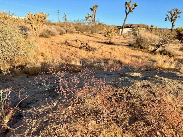 0 Saddleback Road, Joshua Tree, CA 92252
