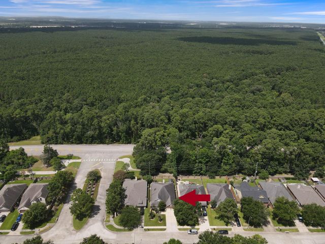 14007 Albany Springs Lane, Houston, TX 77044