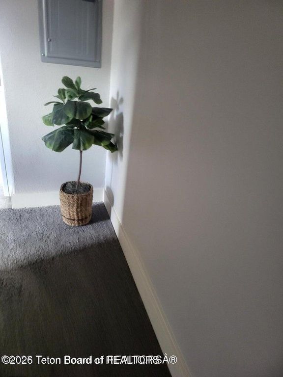 360 WOODEN SPUR Drive, Alpine, WY 83128 photo 10