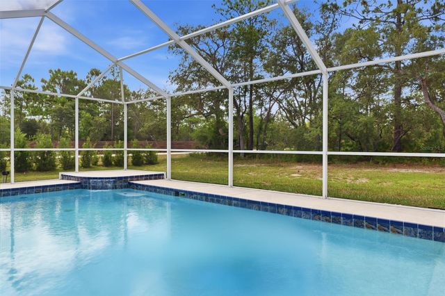 11020 SAGE THRASHER AVENUE, Weeki Wachee, FL 34614