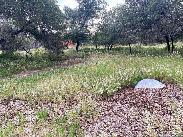 1550 E Hickory Ln, San Antonio, TX 78264