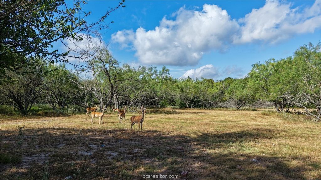 Tract 3 Mensik Rd., Bryan, TX 77808 — photo 4