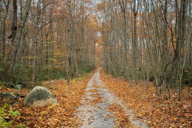 101 Center Road, Woodstock, CT 06281