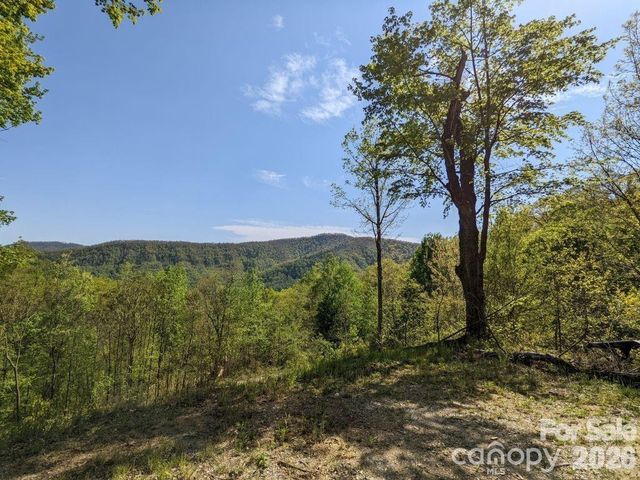 351 Kestrel Lane T-67, Black Mountain, NC 28711
