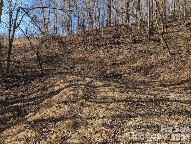 351 Kestrel Lane T-67, Black Mountain, NC 28711