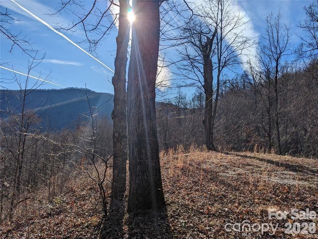 351 Kestrel Lane T-67, Black Mountain, NC 28711