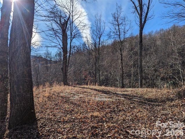 351 Kestrel Lane T-67, Black Mountain, NC 28711