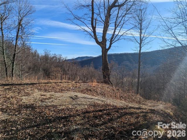 351 Kestrel Lane T-67, Black Mountain, NC 28711