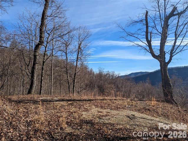 351 Kestrel Lane T-67, Black Mountain, NC 28711