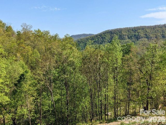 351 Kestrel Lane T-67, Black Mountain, NC 28711