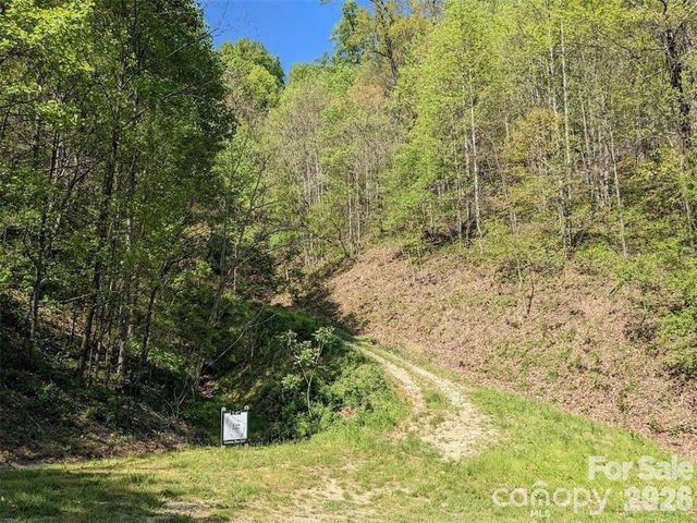 351 Kestrel Lane T-67, Black Mountain, NC 28711