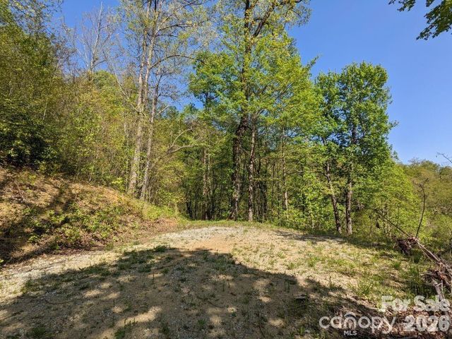 351 Kestrel Lane T-67, Black Mountain, NC 28711