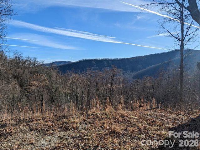 351 Kestrel Lane T-67, Black Mountain, NC 28711