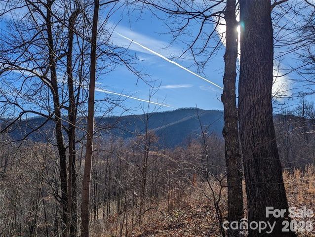 351 Kestrel Lane T-67, Black Mountain, NC 28711