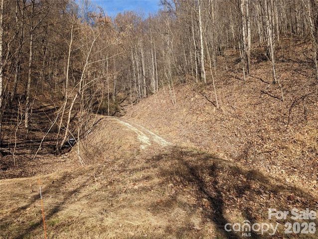 351 Kestrel Lane T-67, Black Mountain, NC 28711
