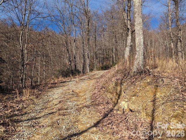 351 Kestrel Lane T-67, Black Mountain, NC 28711