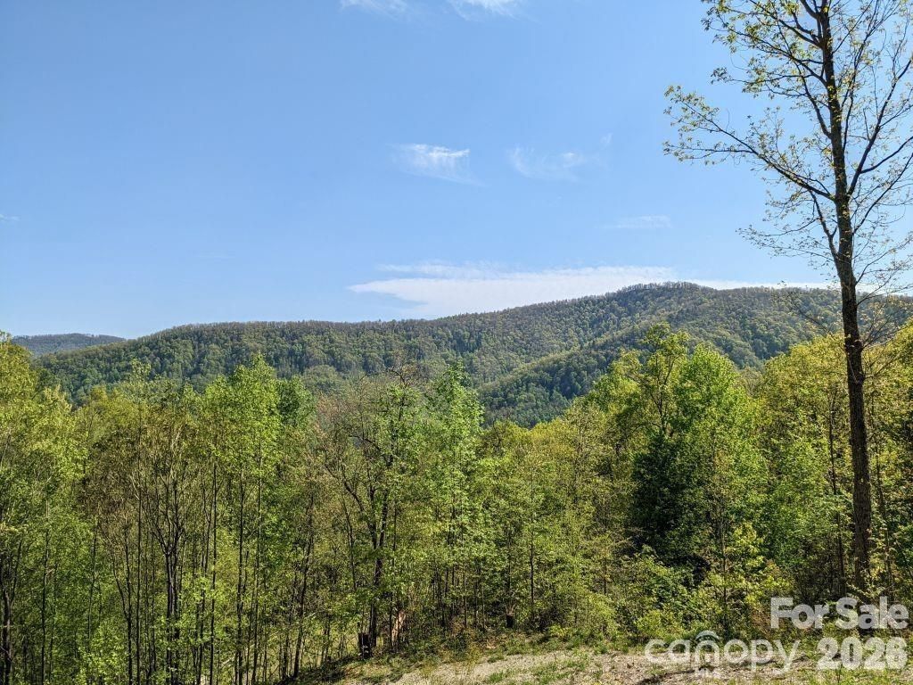 351 Kestrel Lane T-67, Black Mountain, NC 28711