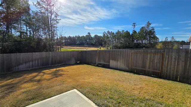 25049 Pomegranate Place, Montgomery, TX 77316