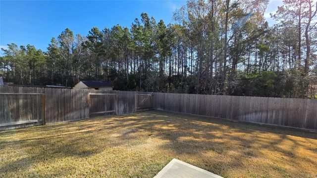 25049 Pomegranate Place, Montgomery, TX 77316