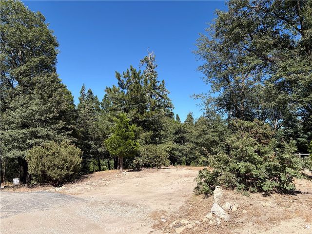 246 Chipmunk, Twin Peaks, CA 92391