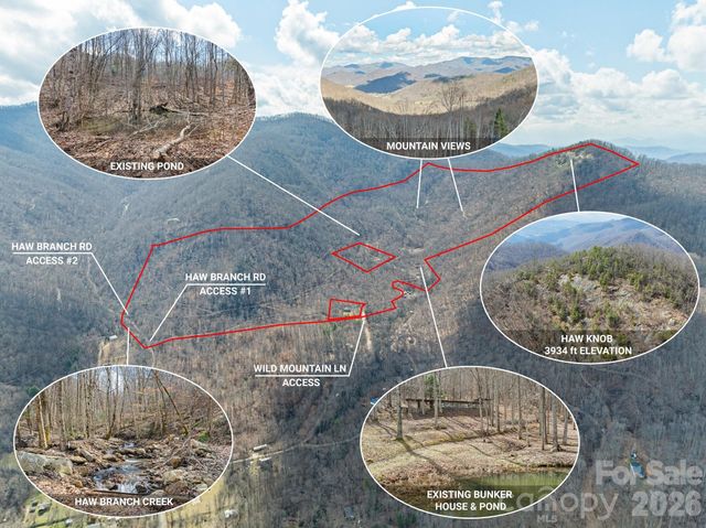 140 Wild Mountain Lane, Barnardsville, NC 28709