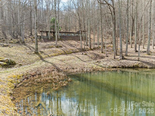 140 Wild Mountain Lane, Barnardsville, NC 28709