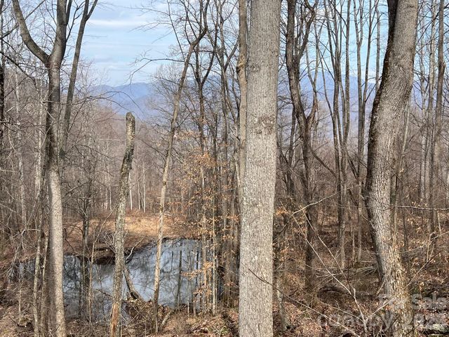 140 Wild Mountain Lane, Barnardsville, NC 28709