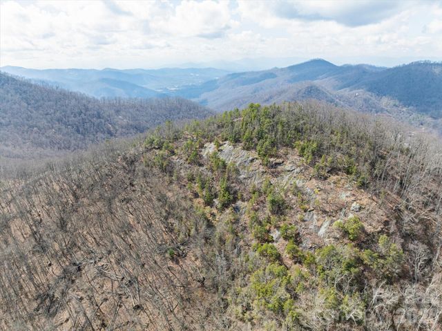 140 Wild Mountain Lane, Barnardsville, NC 28709