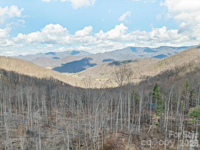 140 Wild Mountain Lane, Barnardsville, NC 28709