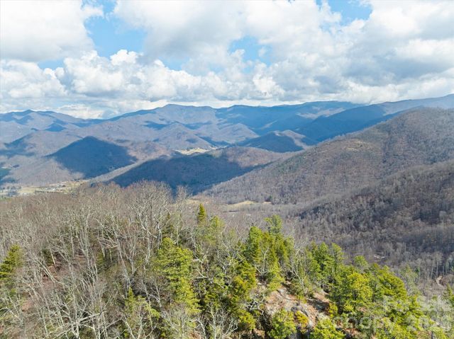 140 Wild Mountain Lane, Barnardsville, NC 28709